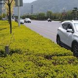 旭旭宝宝6i4E头像