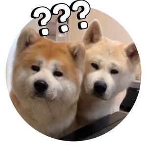 爱蕾蕾头像