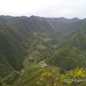 悠闲青山Z头像