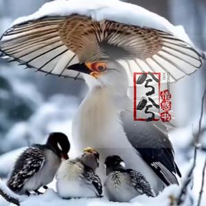 兮兮头像