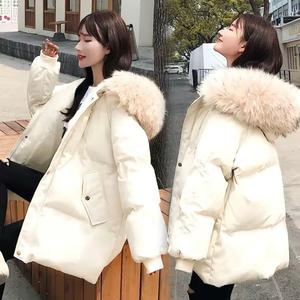 用户52399184403头像