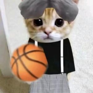 坤仑派头像