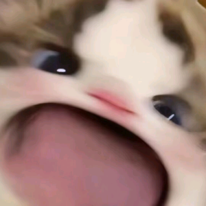 怀瑾头像
