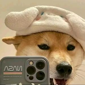 和平阿柴会干饭^o^头像