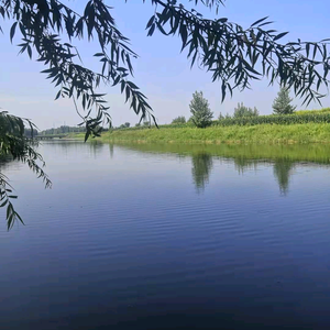 芥末蘸酱（安鑫水电）头像