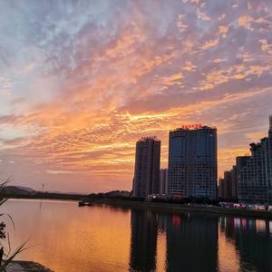 啊条5头像
