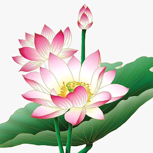 如如分享头像
