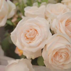 %奶油拌云朵% 头像