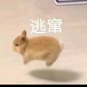 twilight头像
