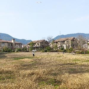 慌厂长头像