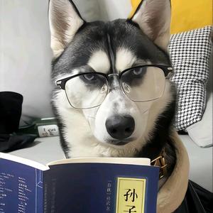 我真是富贵啊头像