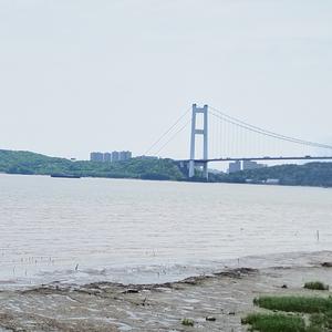 江边欣然逐浪花头像