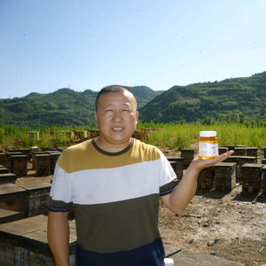 蜂农人老号头像