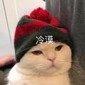 是条废鱼了头像