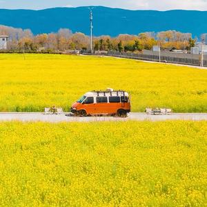 农民小丽头像