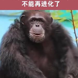阿云与波头像