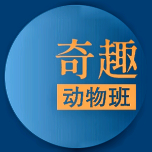 奇趣动物班头像