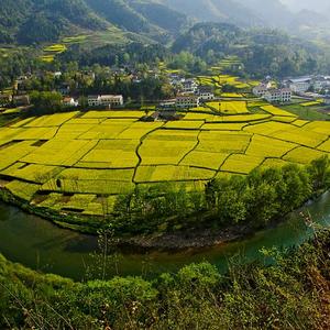 天行健，君子以自强不息。头像