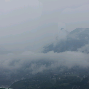 清水不养鱼头像