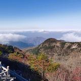 福麟天下头像