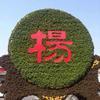 木易YANGG头像