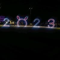 博学多才的动漫达人头像