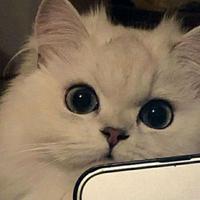 小阿丁手机摄影头像