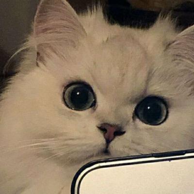 小阿丁手机摄影头像