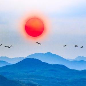 戊子师兄头像