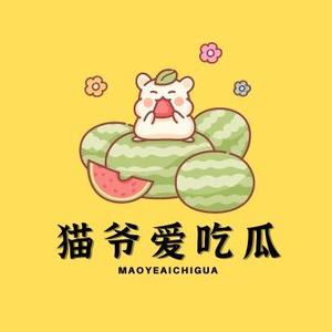 猫爷爱吃瓜头像