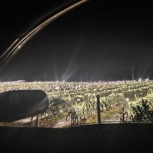 小李爱玩车 头像