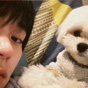 狗狗看事件头像