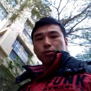 菩提树80825344头像