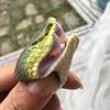 錵錵蚣虸头像