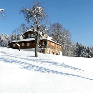 念雪归尘头像