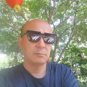 东北通化小龙人头像