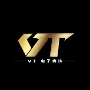 VT傻僵头像