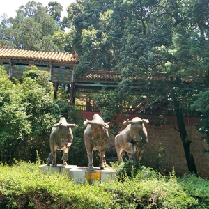 基建工程头像