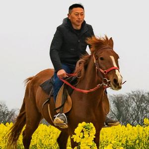 阿青牧场头像