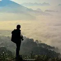 赵哥法律5头像