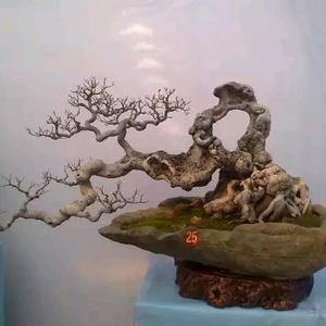 （闽南红）方水道头像