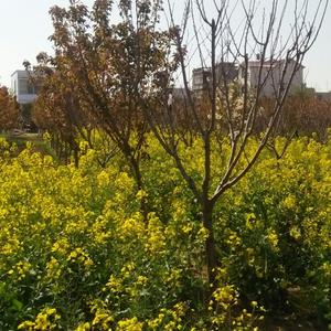 金辉外墙装饰有限公司头像