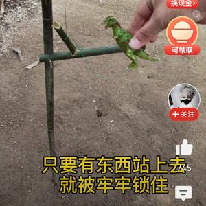 用户8884557340015头像
