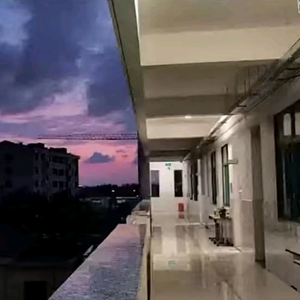 白色的收藏头像