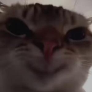 鼠鼠爱得吃 头像