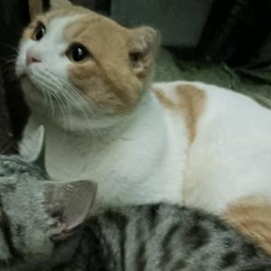 阿兰197头像