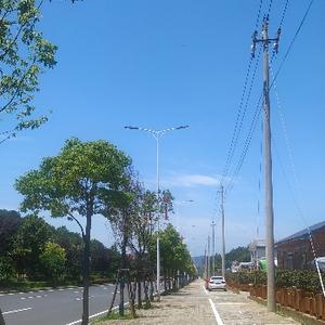 紫河车3106头像