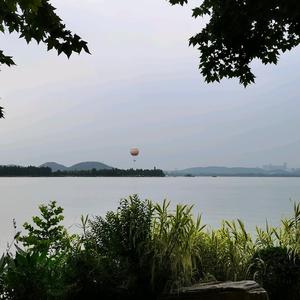 风楼逸客头像