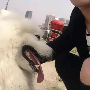 南瓜南瓜00头像