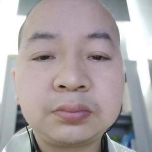 飞翔的鸟头像